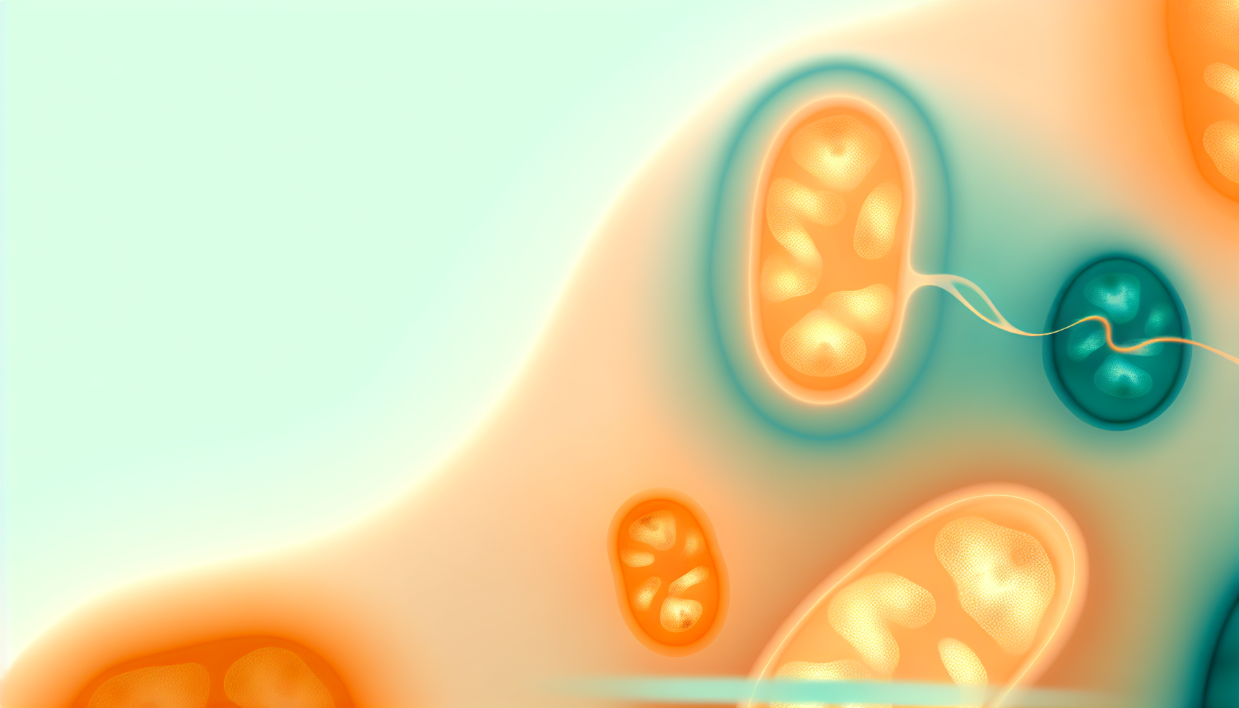 Cellular Energy Supplement Review: Ingredients, Safety, and What to Expect